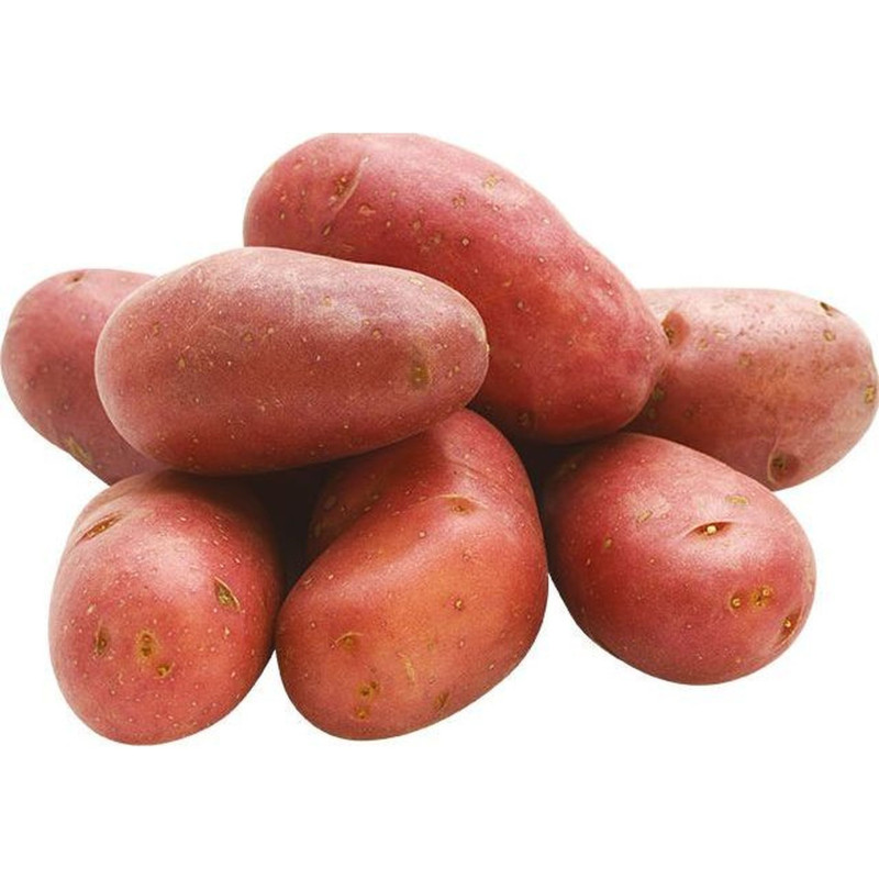 PDT ROUGE FRANCELINE 12,5KG